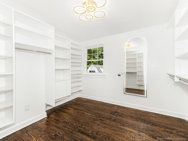 spacious closet featuring dark hardwood / wood-style flooring