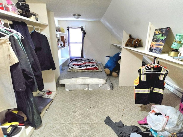 spacious closet with lofted ceiling