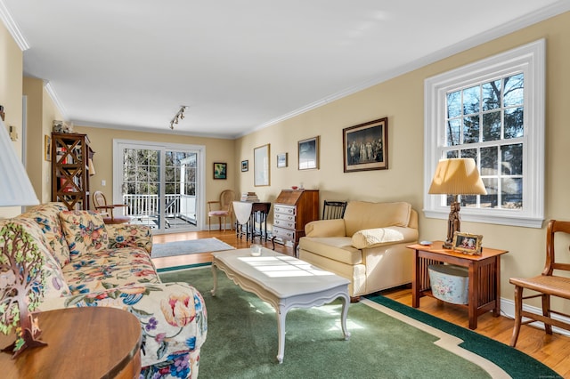 living room featuring ornamental molding, baseboards, and wood finished floors