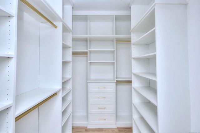 walk in closet featuring light wood-style floors