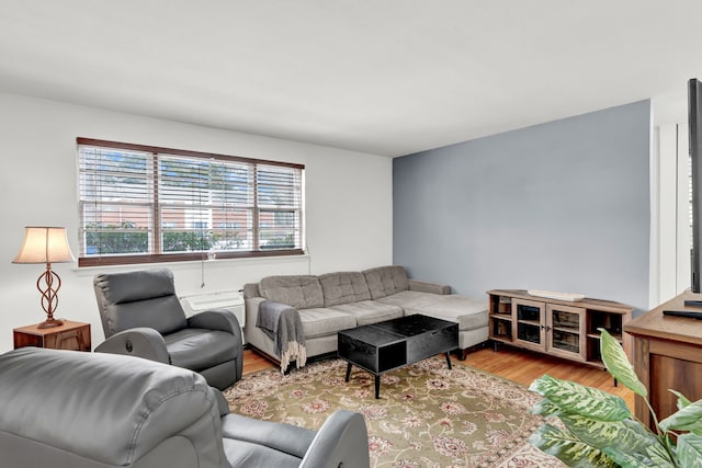 living room featuring light hardwood / wood-style flooring