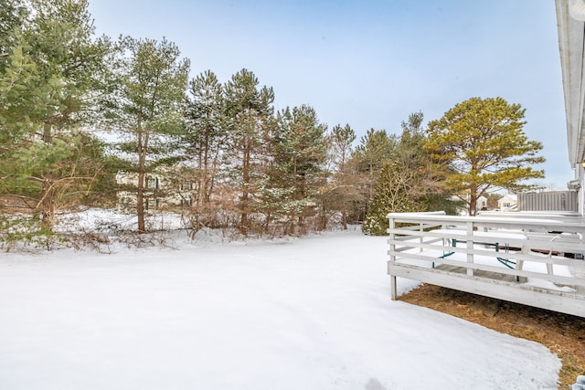 view of yard covered in snow