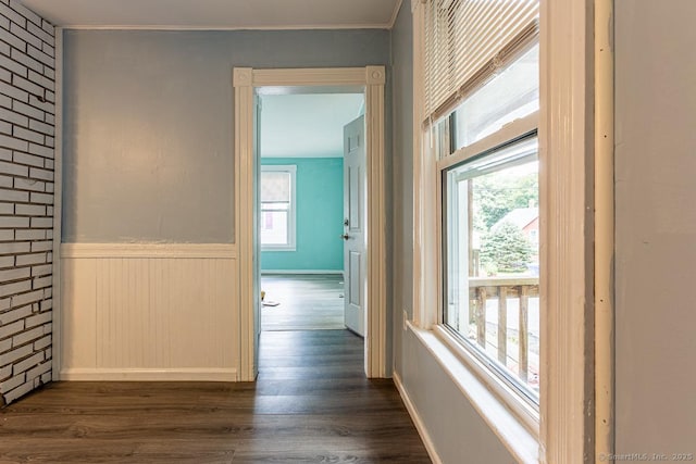 hall with ornamental molding and dark hardwood / wood-style flooring