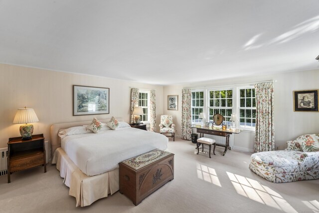 bedroom with light carpet, radiator heating unit, and multiple windows