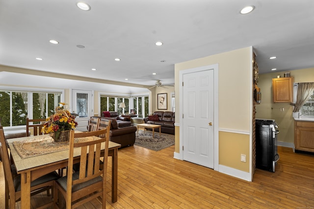 dining space featuring ceiling fan and light hardwood / wood-style flooring