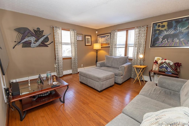 living room with hardwood / wood-style floors