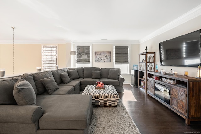 living room featuring dark hardwood / wood-style flooring and crown molding