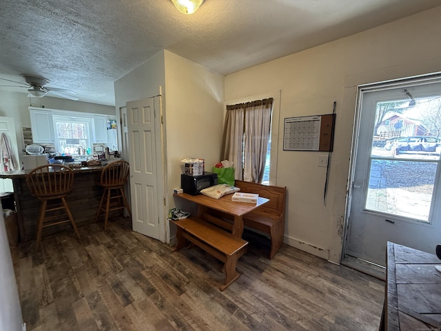 dining space with a wealth of natural light, a textured ceiling, and wood finished floors