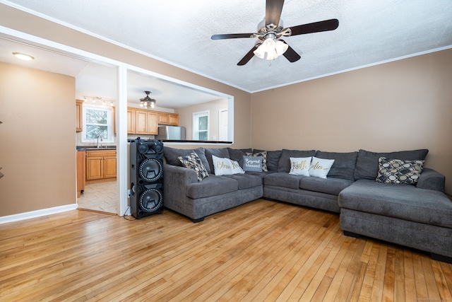 living room with sink, ceiling fan, ornamental molding, a textured ceiling, and light wood-type flooring