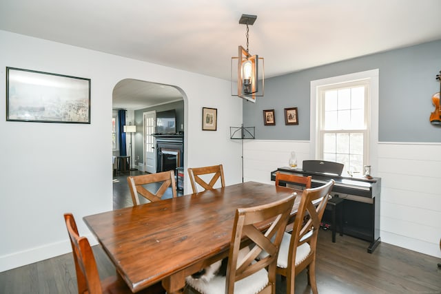 dining area with dark hardwood / wood-style flooring