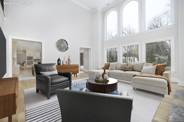 40 Hoyclo Rd, Stamford, CT 06903 - living room with baseboards, crown molding, a towering ceiling, and light wood finished floors