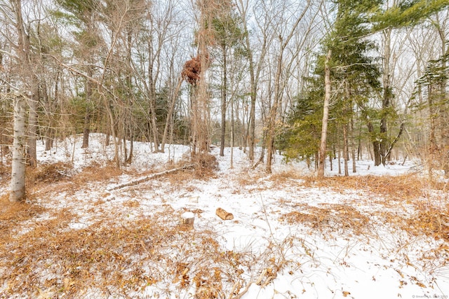 view of snow covered land