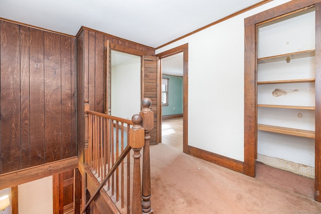 hallway with ornamental molding, light colored carpet, and wood walls