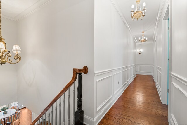 hallway with a chandelier, wood finished floors, a decorative wall, and ornamental molding