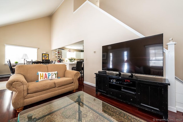 living room featuring a baseboard radiator, dark hardwood / wood-style floors, and high vaulted ceiling