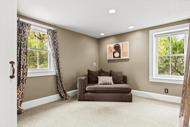 sitting room with carpet