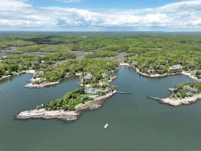48 Andrews Rd, Guilford, CT 06437 - aerial view of a forest and a nearby body of water