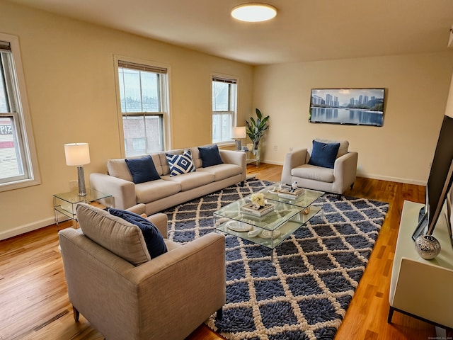 living room with hardwood / wood-style floors