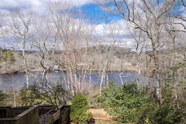 view of water feature