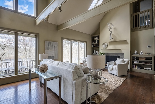 living area featuring a healthy amount of sunlight, high vaulted ceiling, a fireplace, and wood finished floors