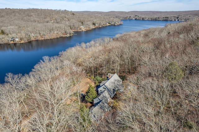 birds eye view of property featuring a water view and a forest view