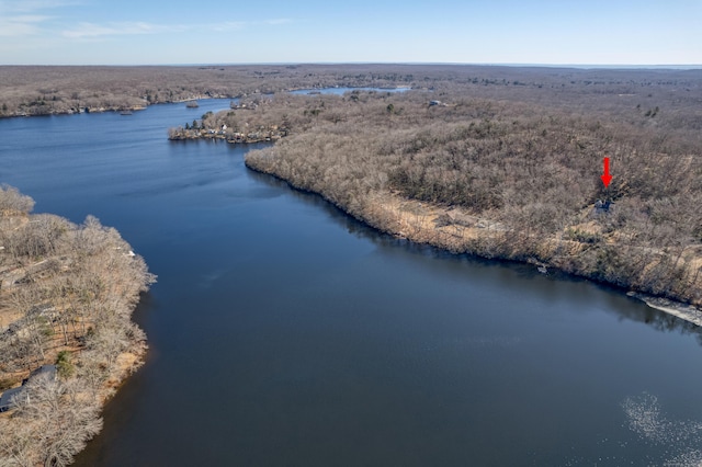drone / aerial view with a water view and a wooded view