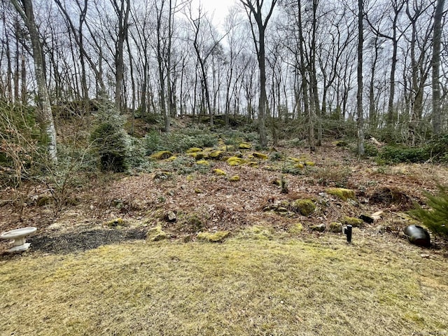 view of local wilderness