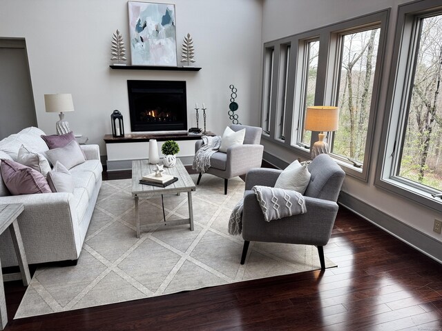 living area featuring baseboards, plenty of natural light, a lit fireplace, and hardwood / wood-style floors