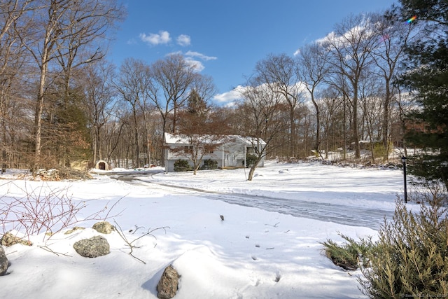 view of yard covered in snow