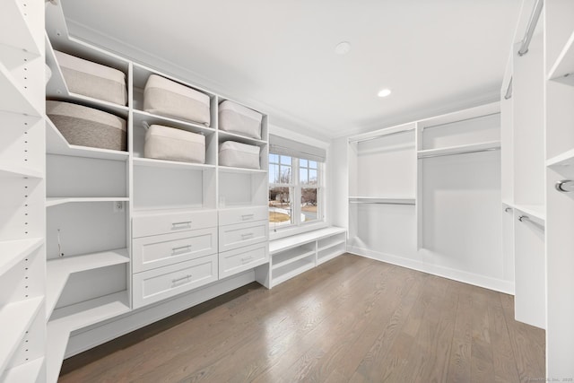 spacious closet with dark wood-style flooring