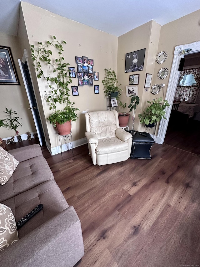 living room featuring dark hardwood / wood-style flooring