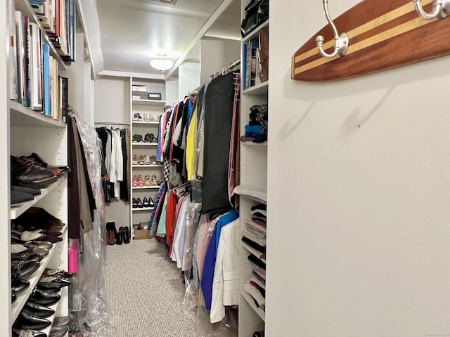 spacious closet with carpet floors