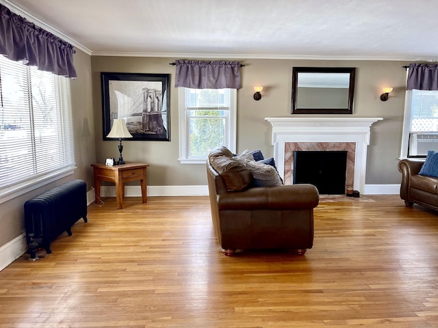 living room with a premium fireplace, radiator heating unit, and light hardwood / wood-style flooring