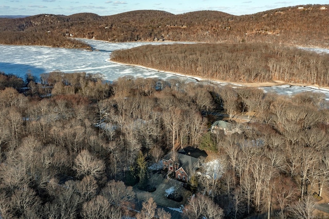 drone / aerial view featuring a mountain view and a view of trees