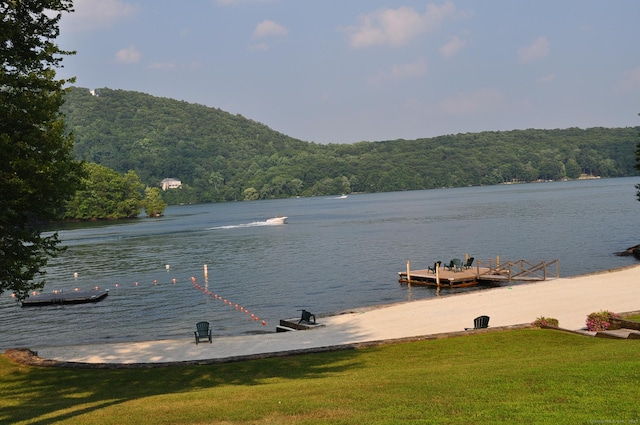 water view featuring a dock and a forest view