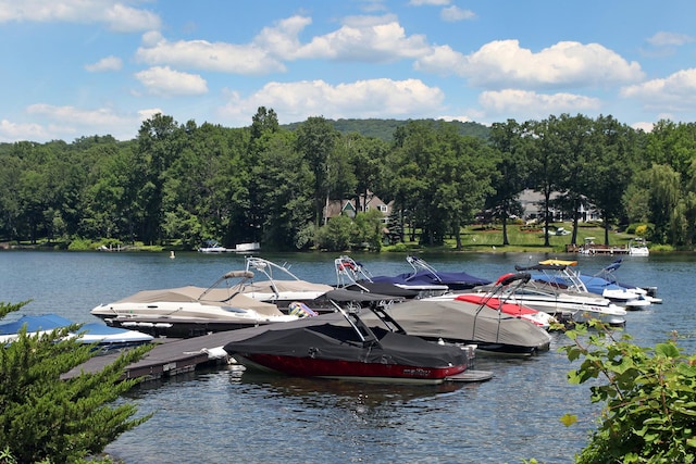 water view featuring a boat dock