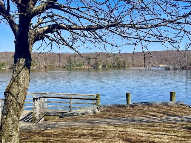 view of dock with a forest view and a water view