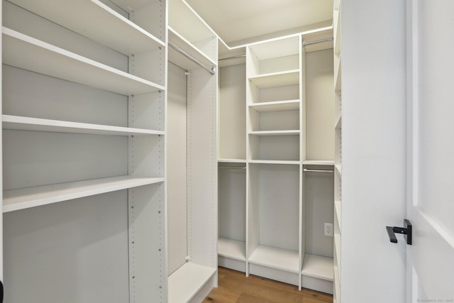 spacious closet featuring hardwood / wood-style flooring