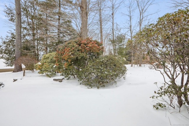 view of yard covered in snow