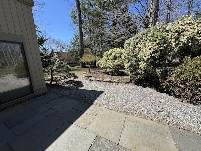 view of yard with a patio