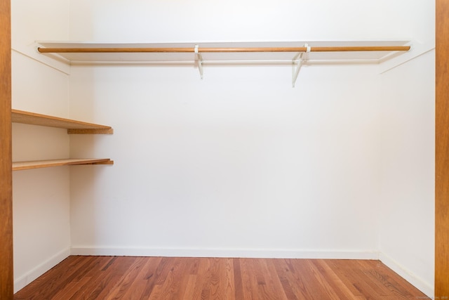 walk in closet featuring hardwood / wood-style floors