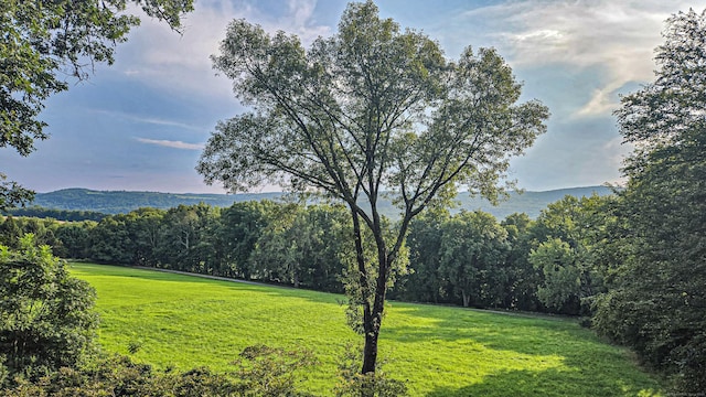 view of yard with a view of trees