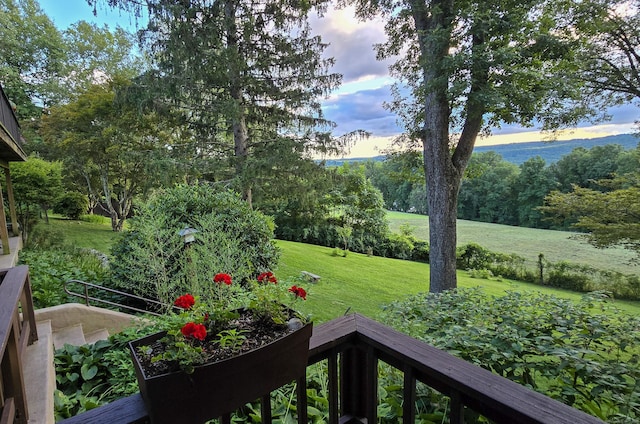 view of yard at dusk