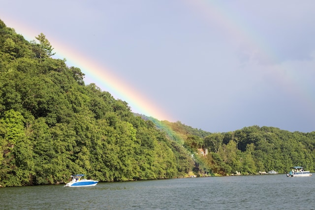 water view with a forest view