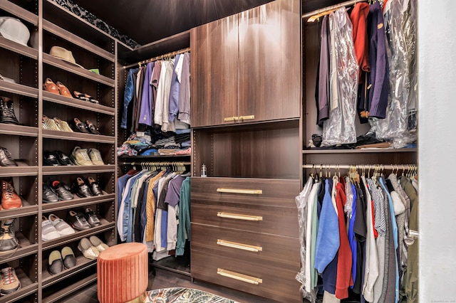 view of walk in closet