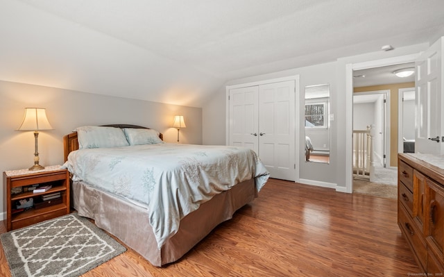 bedroom featuring wood-type flooring, lofted ceiling, and a closet