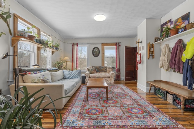 living room with hardwood / wood-style flooring