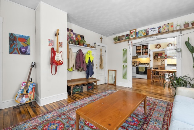 living room featuring hardwood / wood-style floors