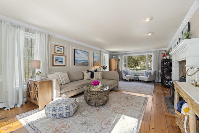 living area with dark wood-style flooring, a fireplace, and crown molding