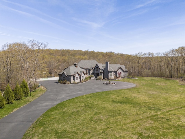 131 Burr Hill Rd, Killingworth, CT 06419 - view of front of home with a view of trees, a chimney, aphalt driveway, and a front yard